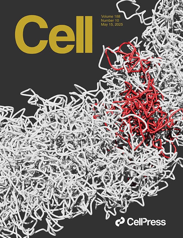 Cell Paper